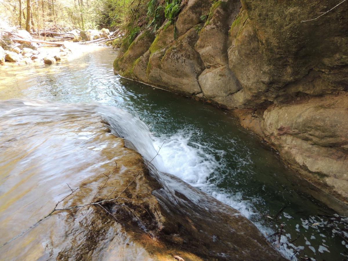 El Moli D'En Sola-Allotjaments Rurals La Vall de Bianya Ngoại thất bức ảnh