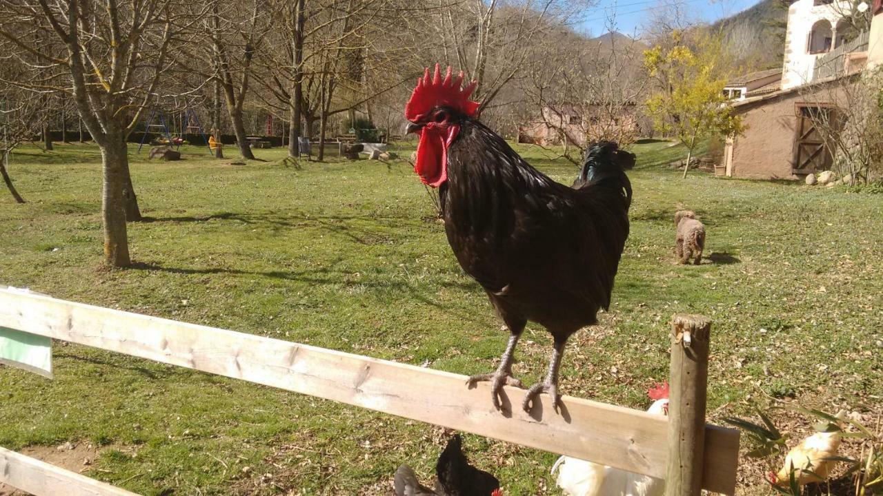 El Moli D'En Sola-Allotjaments Rurals La Vall de Bianya Ngoại thất bức ảnh